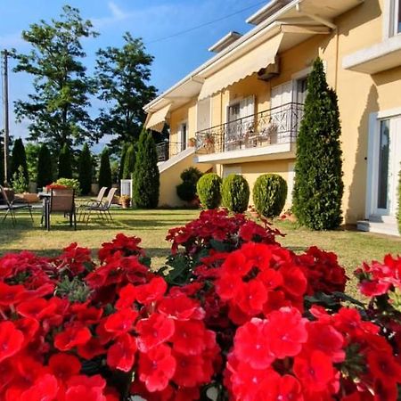 Sevi'S Luxury Guesthouse Villa Янина Экстерьер фото