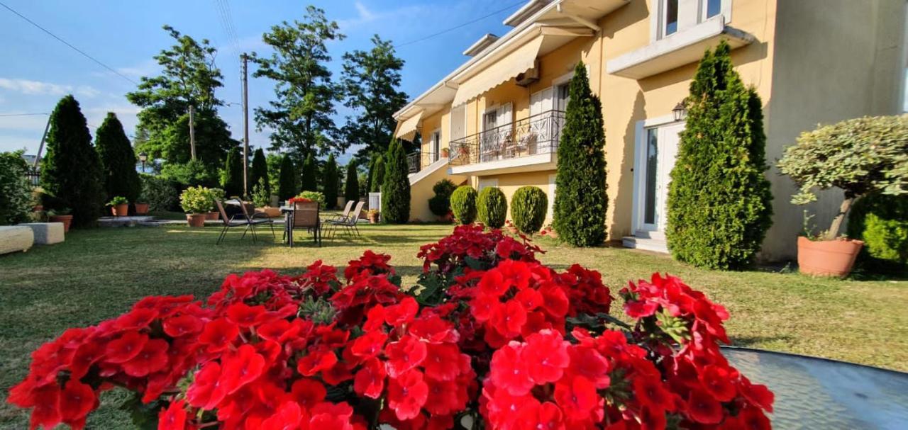 Sevi'S Luxury Guesthouse Villa Янина Экстерьер фото