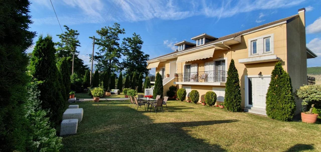 Sevi'S Luxury Guesthouse Villa Янина Экстерьер фото